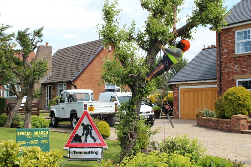 Image of Scarecrow Competition